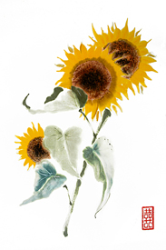 Sunflowers