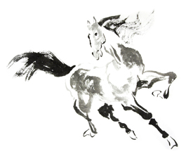 Chinese Horse